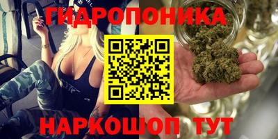 Альфа ПВП Лесной
