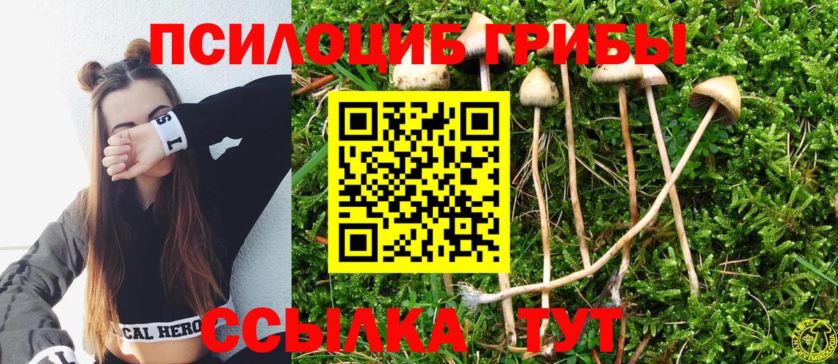 Псилоцибиновые грибы Psilocybine cubensis  Вход с VPN  купить  сайты  Приморско-Ахтарск 
