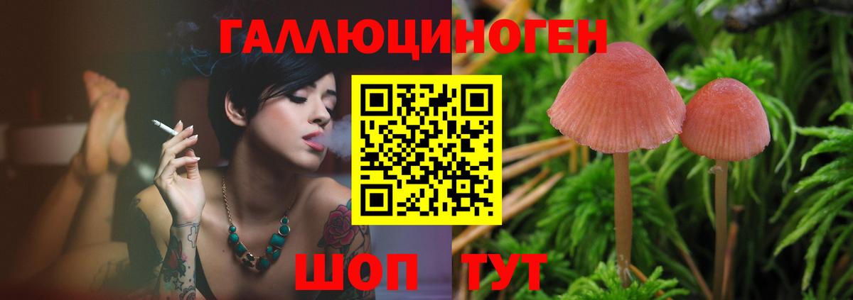ГАШИШ  Приморско-Ахтарск  Гашиш  МДМА  ЭКСТАЗИ  Меф МЯУ МЯУ   Вейп ТГК  Вход с VPN  Конопля 